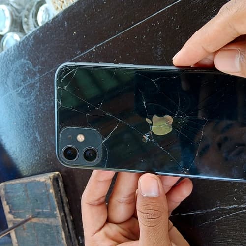 dijuql iphone 11
